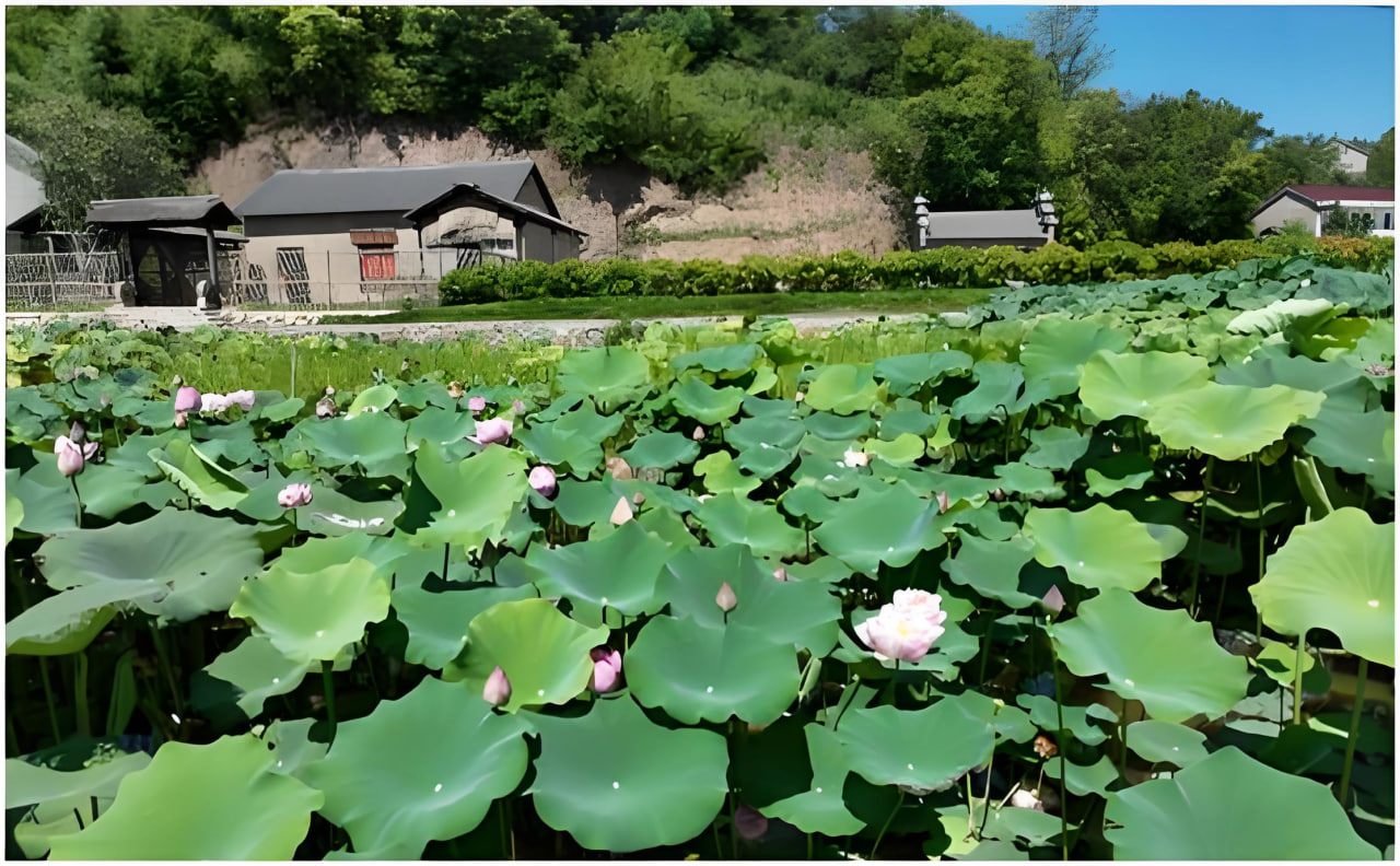 校园韩漫2